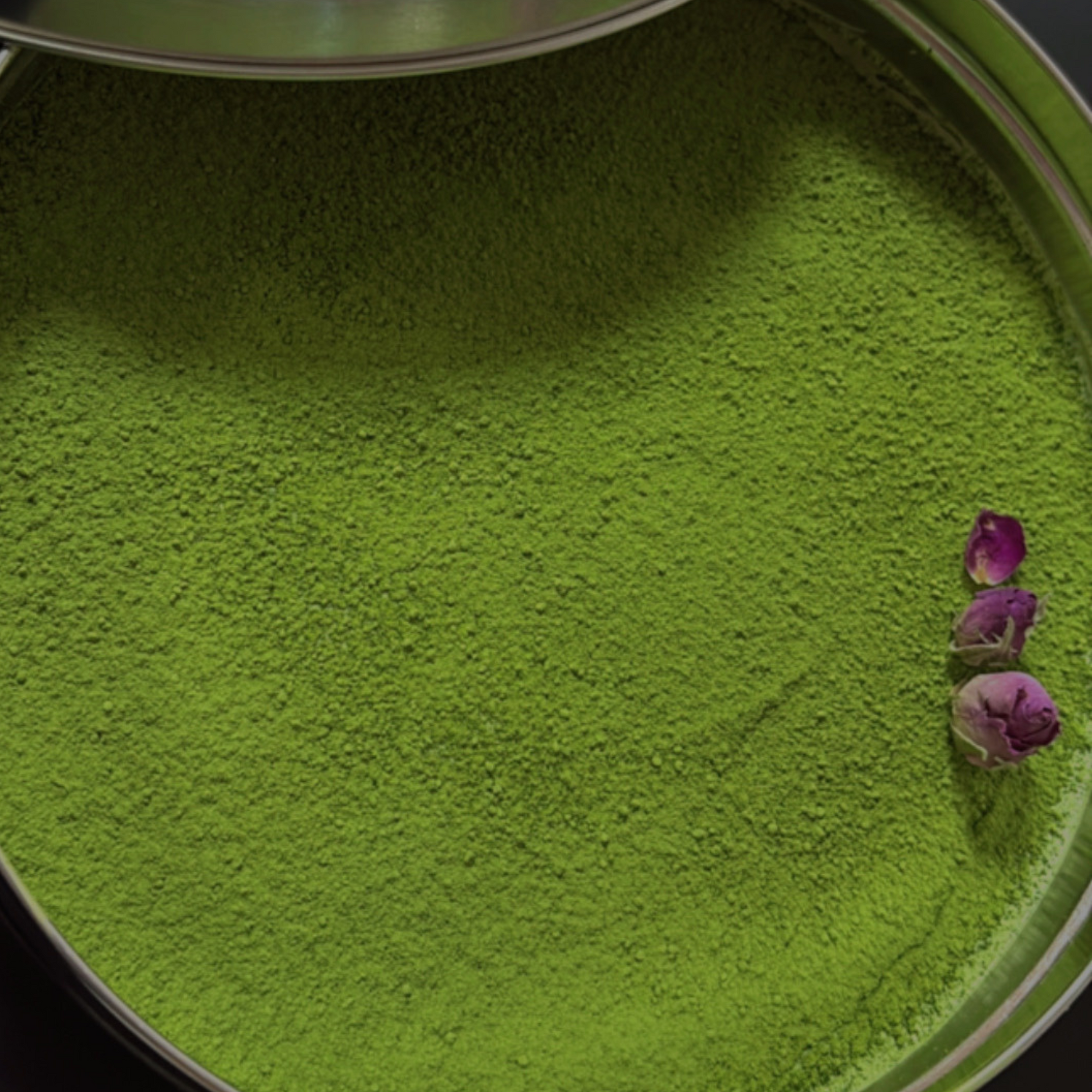 Matcha Tiramisu Tin